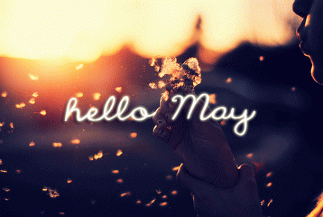 88692-Hello-May