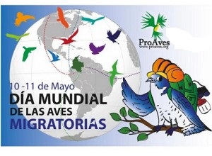 Día-Mundial-de-las-aves-migratorias-300x220