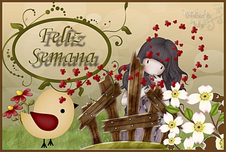 Imágenes para compartir en WhatsApp y regalar tarjetas de Felíz Semana, Feliz domingo, Feliz sabado