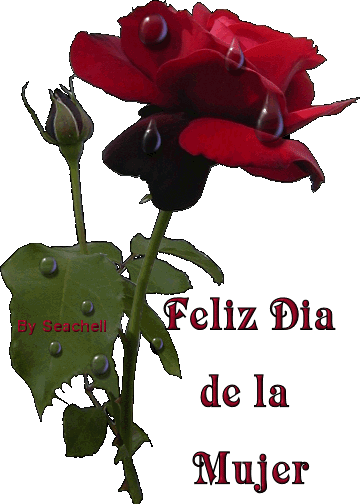 39 Imágenes para regalar en el día internacional de la mujer (international women´s day)